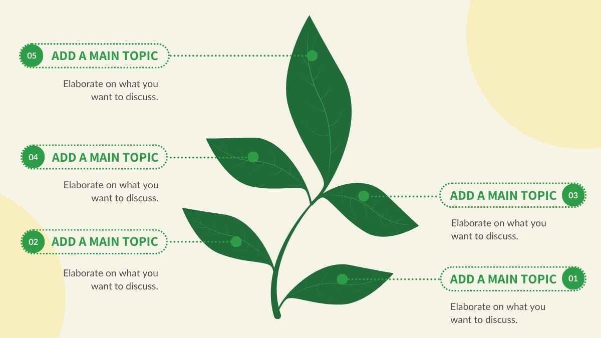 Diagram Proses Pertumbuhan Daun yang Imut dalam Slide - slide 2