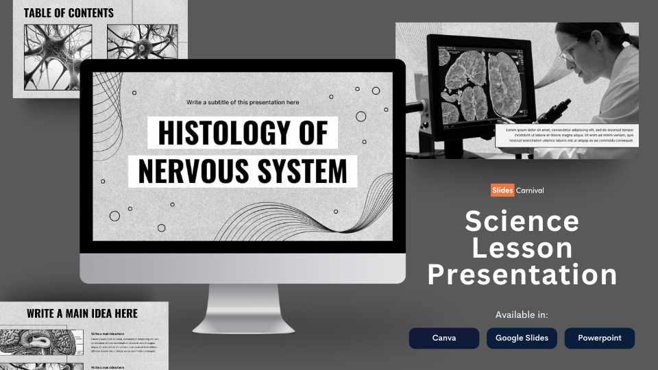 Histologia do Sistema Nervoso Minimalista em Slides - deslizar 1