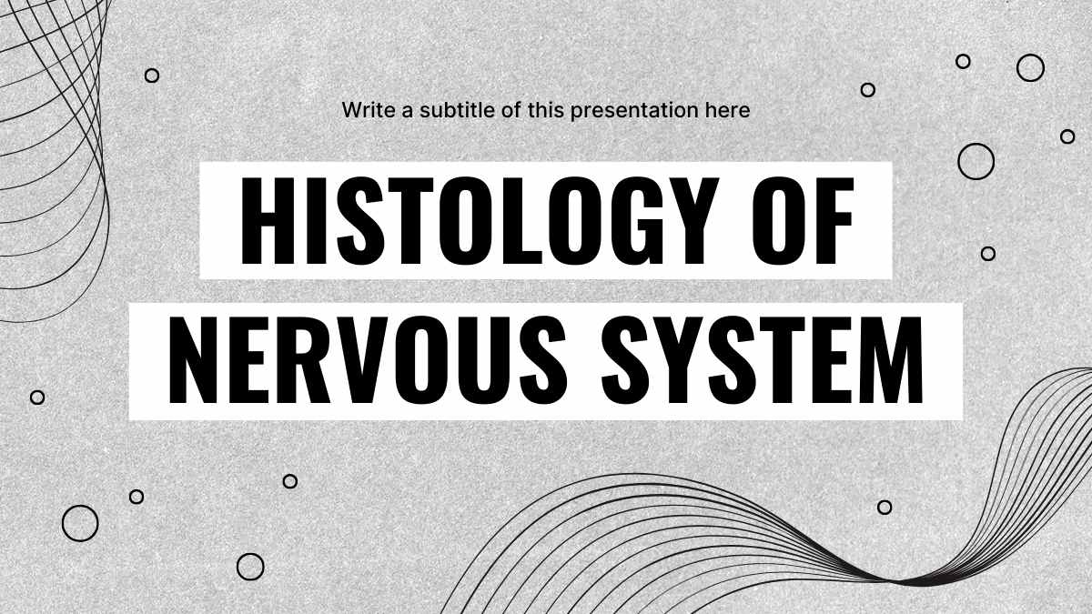 Histologia do Sistema Nervoso Minimalista em Slides - deslizar 2