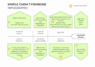 Infográfico de Espinha de Peixe Chem 7 Simples